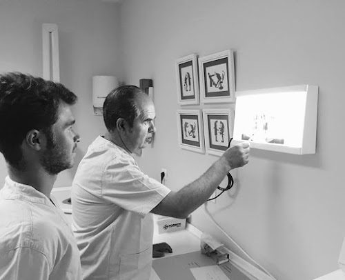 AF1QipNbbFYQOdfAXgqgv6XMh8WyegIFoZLjyRcKA7G8=s500-k-no https://www.clinicadentalguillen.com/wp-content/uploads/2024/06/AF1QipNbbFYQOdfAXgqgv6XMh8WyegIFoZLjyRcKA7G8s500-k-no.jpeg